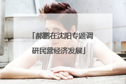 郝鹏在沈阳专题调研民营经济发展