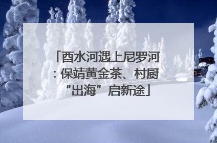 酉水河遇上尼罗河：保靖黄金茶、村厨“出海”启新途