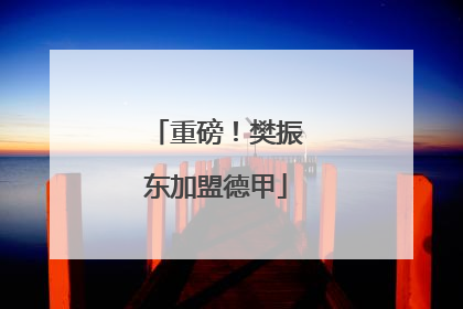 重磅！樊振东加盟德甲