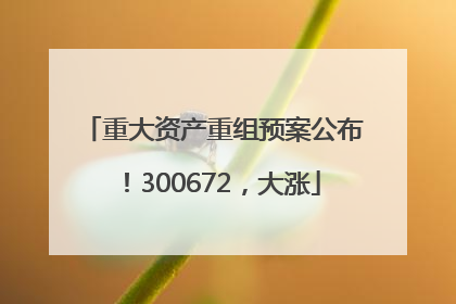 重大资产重组预案公布！300672，大涨