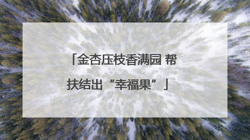 金杏压枝香满园 帮扶结出“幸福果”