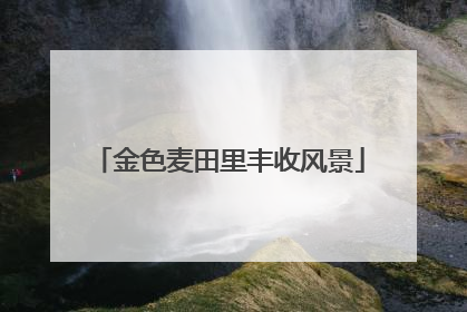 金色麦田里丰收风景