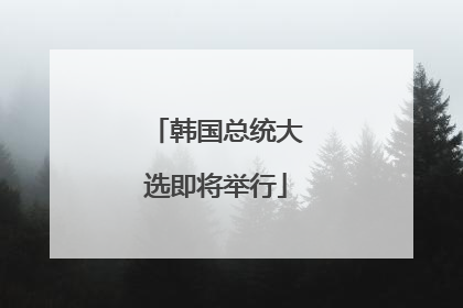 韩国总统大选即将举行