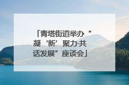 青塔街道举办“凝‘新’聚力·共话发展”座谈会