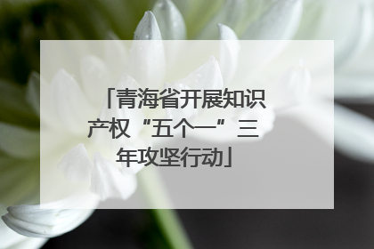青海省开展知识产权“五个一”三年攻坚行动