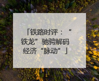 铁路时评：“铁龙”驰骋解码经济“脉动”