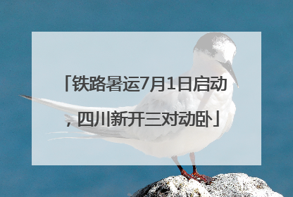 铁路暑运7月1日启动，四川新开三对动卧
