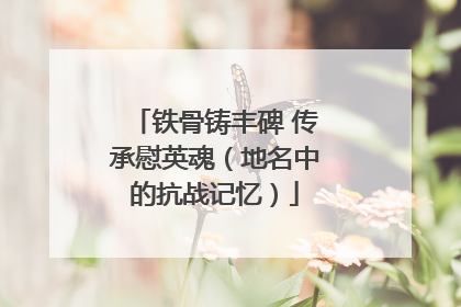 铁骨铸丰碑 传承慰英魂（地名中的抗战记忆）