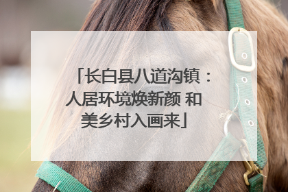 长白县八道沟镇：人居环境焕新颜 和美乡村入画来