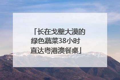 长在戈壁大漠的绿色蔬菜38小时直达粤港澳餐桌