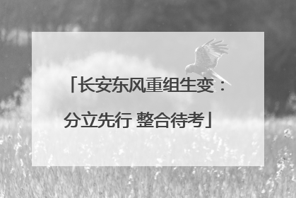 长安东风重组生变：分立先行 整合待考