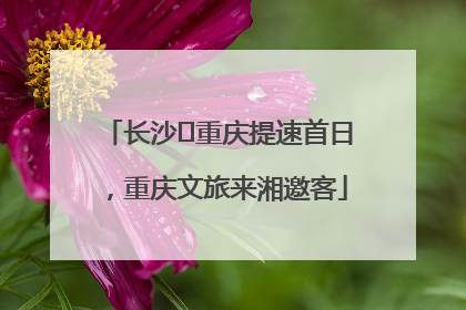 长沙⇌重庆提速首日，重庆文旅来湘邀客