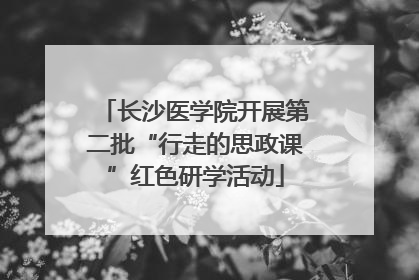 长沙医学院开展第二批“行走的思政课”红色研学活动