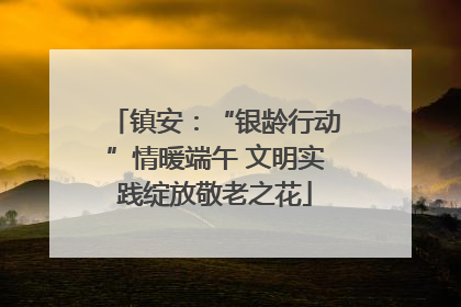 镇安：“银龄行动”情暖端午 文明实践绽放敬老之花
