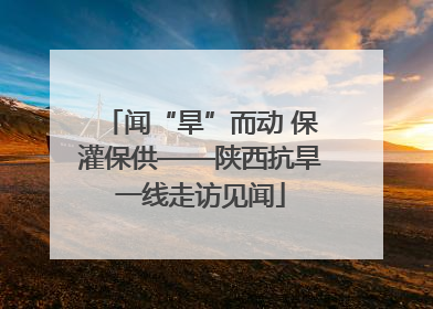 闻“旱”而动 保灌保供——陕西抗旱一线走访见闻