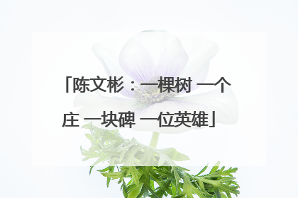 陈文彬：一棵树 一个庄 一块碑 一位英雄