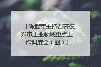 陈武军主持召开德兴市工业领域重点工作调度会（图）