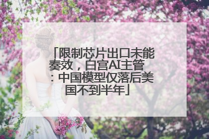 限制芯片出口未能奏效，白宫AI主管：中国模型仅落后美国不到半年