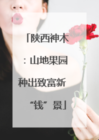 陕西神木：山地果园种出致富新“钱”景