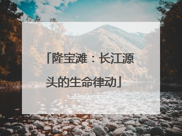 隆宝滩：长江源头的生命律动