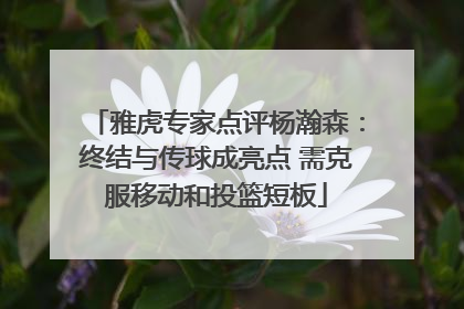 雅虎专家点评杨瀚森：终结与传球成亮点 需克服移动和投篮短板