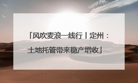 风吹麦浪一线行丨定州：土地托管带来稳产增收