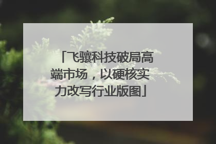 飞骧科技破局高端市场，以硬核实力改写行业版图