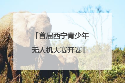 首届西宁青少年无人机大赛开赛