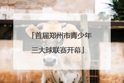 首届郑州市青少年三大球联赛开幕