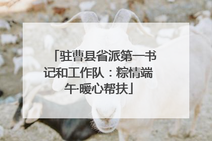 驻曹县省派第一书记和工作队：粽情端午·暖心帮扶