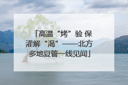 高温“烤”验 保灌解“渴”——北方多地夏管一线见闻