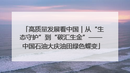 高质量发展看中国｜从“生态守护”到“碳汇生金”——中国石油大庆油田绿色蝶变