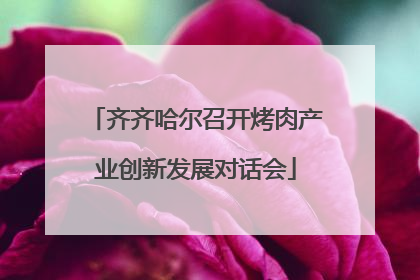 齐齐哈尔召开烤肉产业创新发展对话会