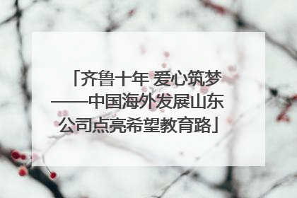 齐鲁十年 爱心筑梦——中国海外发展山东公司点亮希望教育路