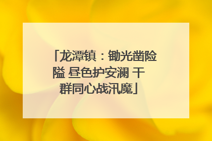 龙潭镇：锄光凿险隘 昼色护安澜 干群同心战汛魔