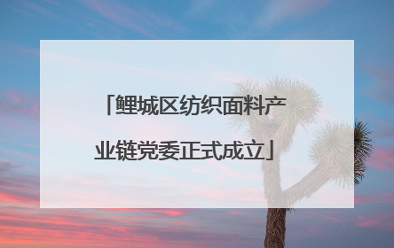 鲤城区纺织面料产业链党委正式成立