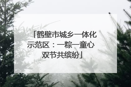 鹤壁市城乡一体化示范区：一粽一童心 双节共缤纷