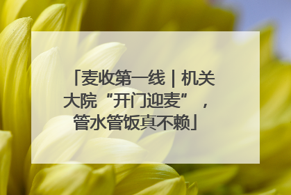 麦收第一线｜机关大院“开门迎麦”，管水管饭真不赖
