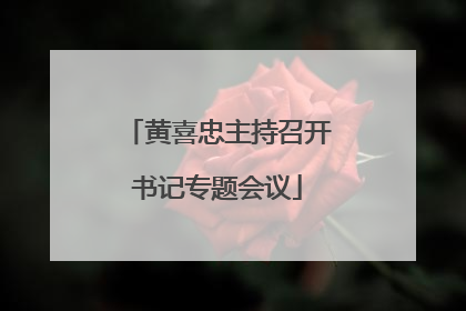 黄喜忠主持召开书记专题会议