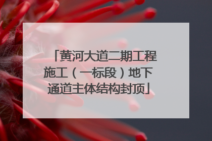 黄河大道二期工程施工（一标段）地下通道主体结构封顶