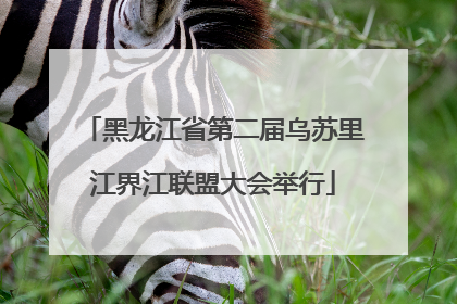 黑龙江省第二届乌苏里江界江联盟大会举行