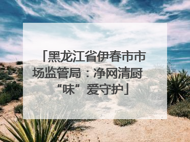 黑龙江省伊春市市场监管局：净网清厨 “味”爱守护