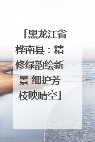 黑龙江省桦南县：精修绿韵绘新景 细护芳枝映晴空