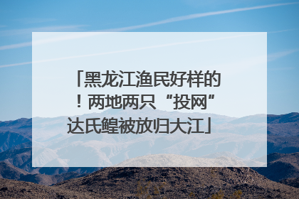 黑龙江渔民好样的！两地两只“投网”达氏鳇被放归大江
