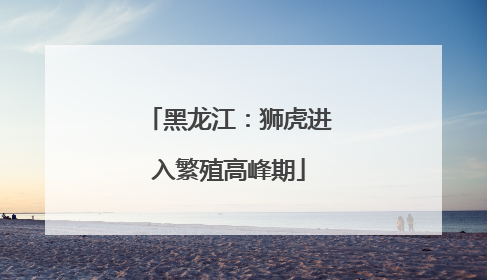 黑龙江：狮虎进入繁殖高峰期