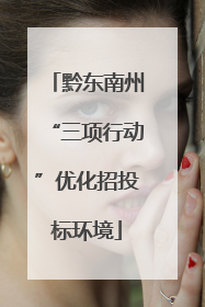 黔东南州“三项行动”优化招投标环境