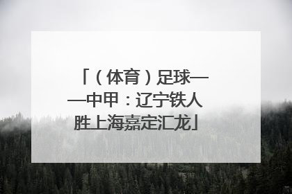 （体育）足球——中甲：辽宁铁人胜上海嘉定汇龙