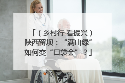 （乡村行·看振兴）陕西留坝：“满山绿”如何变“口袋金”？