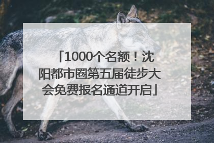 1000个名额！沈阳都市圈第五届徒步大会免费报名通道开启