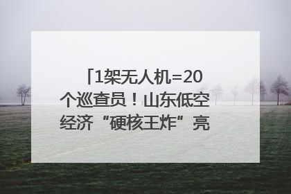 1架无人机=20个巡查员！山东低空经济“硬核王炸”亮相青岛，下一个万亿赛道藏在这里